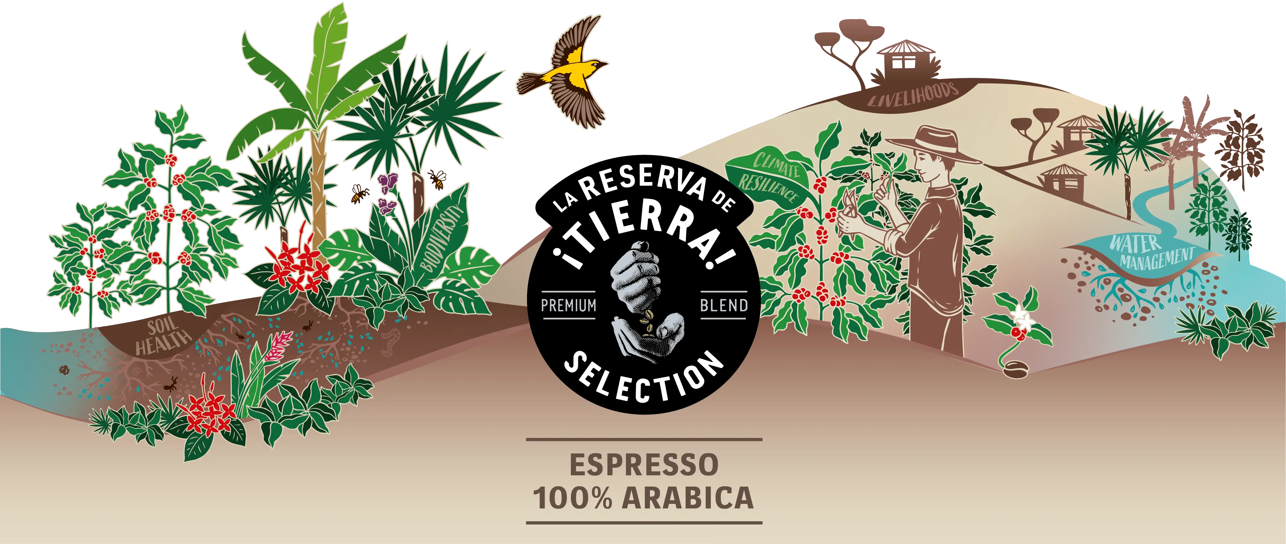 illustrazione agricoltura rigenerativa